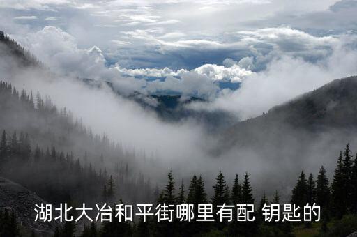 湖北大冶和平街哪里有配 钥匙的