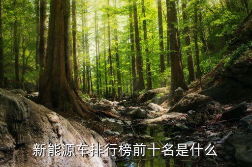 微型电动汽车十大名牌排名及价格,二手车估价查询