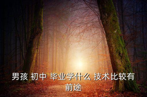 男孩 初中 毕业学什么 技术比较有前途