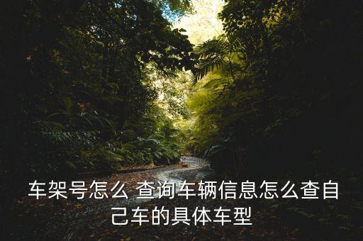  车架号怎么 查询车辆信息怎么查自己车的具体车型