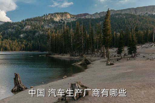 中国 汽车生产厂商有哪些