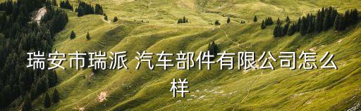  瑞安市瑞派 汽车部件有限公司怎么样