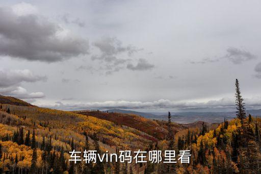 车辆vin码在哪里看
