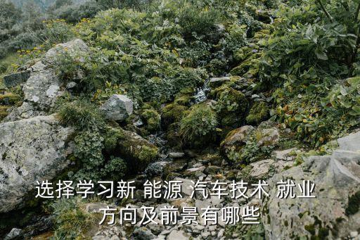 选择学习新 能源 汽车技术 就业 方向及前景有哪些