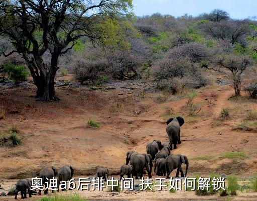 奥迪a6后排中间 扶手如何解锁