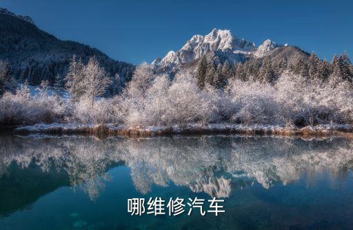 哪维修汽车