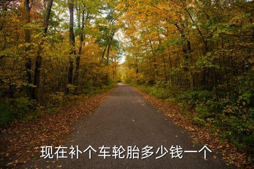 现在补个车轮胎多少钱一个