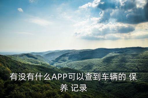 有没有什么APP可以查到车辆的 保养 记录