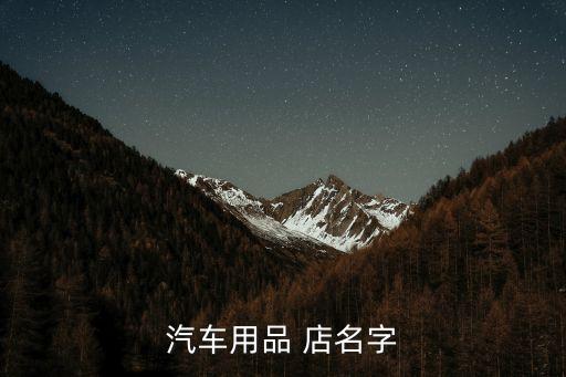 汽车用品 店名字