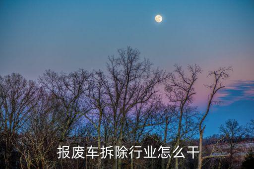  报废车拆除行业怎么干