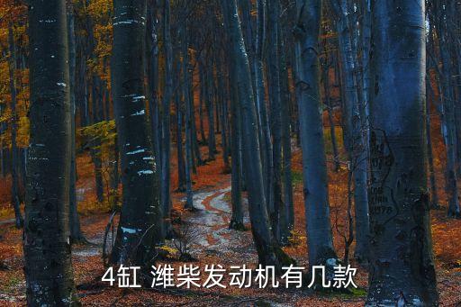 4缸 潍柴发动机有几款