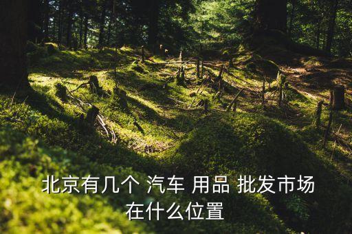 北京哪里批发汽车用品最多的地方,乌鲁木齐哪里有汽车用品批发