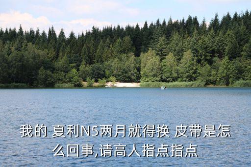 我的 夏利N5两月就得换 皮带是怎么回事,请高人指点指点