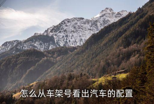 怎么从车架号看出汽车的配置