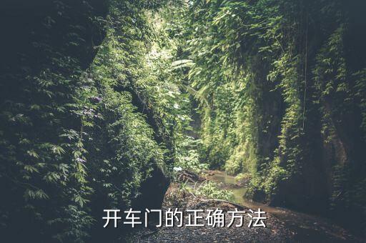  开车门的正确方法