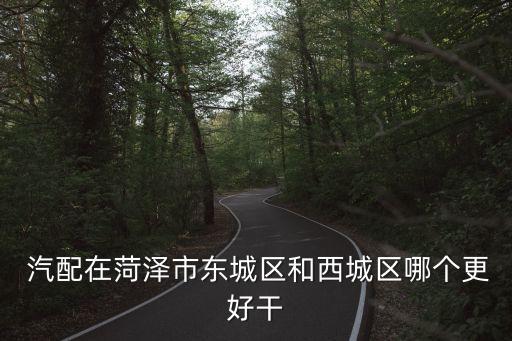  汽配在菏泽市东城区和西城区哪个更好干