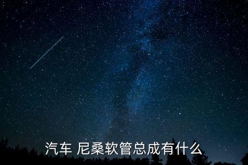 汽车 尼桑软管总成有什么