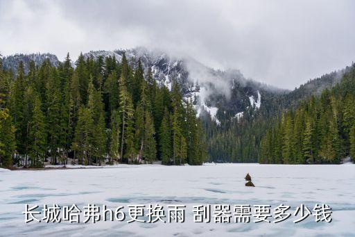长城哈弗h6更换雨 刮器需要多少钱