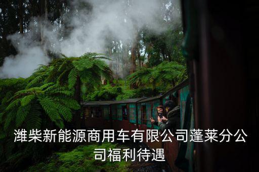  潍柴新能源商用车有限公司蓬莱分公司福利待遇