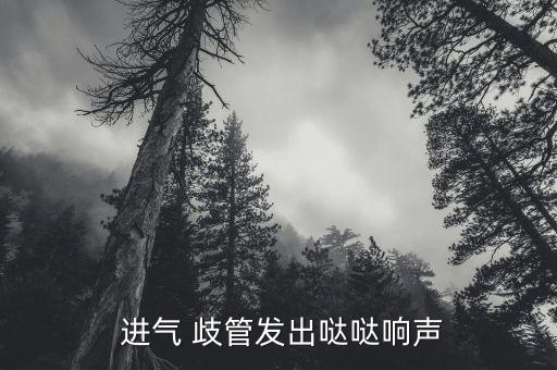  进气 歧管发出哒哒响声