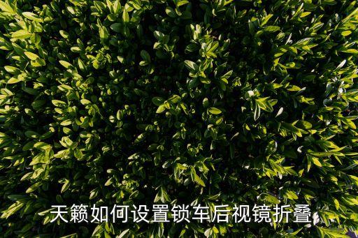  天籁如何设置锁车后视镜折叠