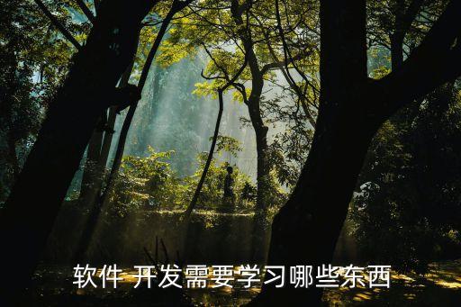  软件 开发需要学习哪些东西