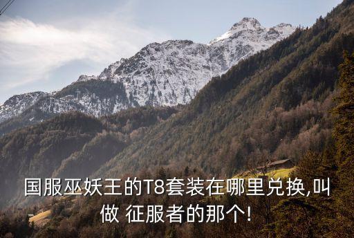 国服巫妖王的T8套装在哪里兑换,叫做 征服者的那个!