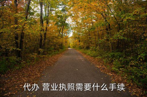  代办 营业执照需要什么手续