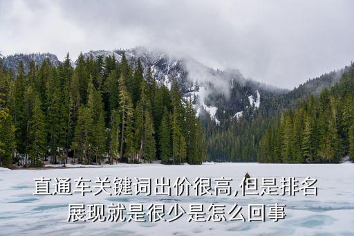 直通车没有展现