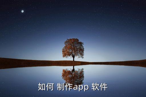 如何 制作app 软件