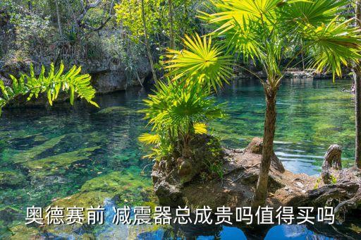 锋范减震器4s店多少钱,锋范汽车减震器多少钱