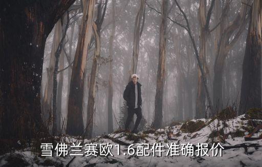 雪佛兰赛欧有哪些滤芯