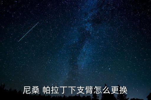 尼桑 帕拉丁下支臂怎么更换