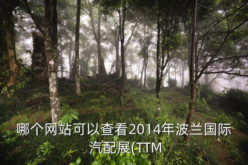 哪个网站可以查看2014年波兰国际 汽配展(TTM