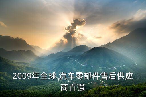 2009年全球 汽车零部件售后供应商百强