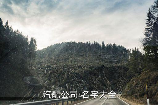  汽配公司 名字大全