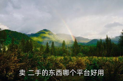 卖 二手的东西哪个平台好用
