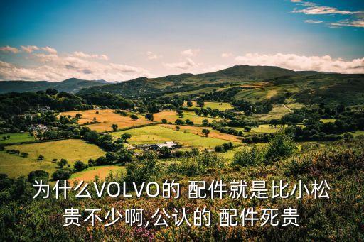 沃尔沃配件图