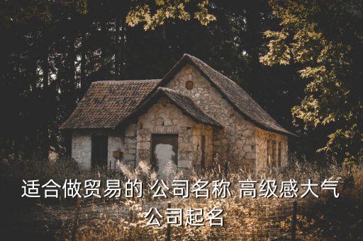 适合做贸易的 公司名称 高级感大气 公司起名