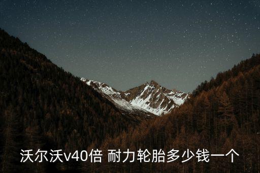 沃尔沃v40倍 耐力轮胎多少钱一个