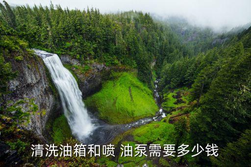 清洗油箱和喷 油泵需要多少钱