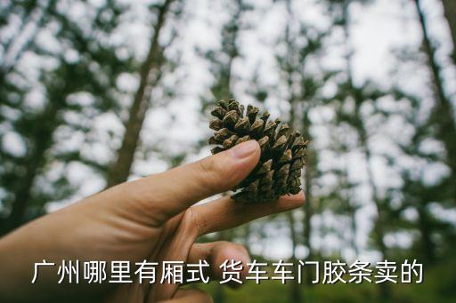 广州哪里有厢式 货车车门胶条卖的