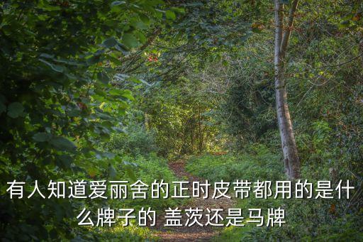 有人知道爱丽舍的正时皮带都用的是什么牌子的 盖茨还是马牌