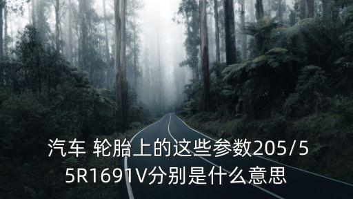  汽车 轮胎上的这些参数205/55R1691V分别是什么意思