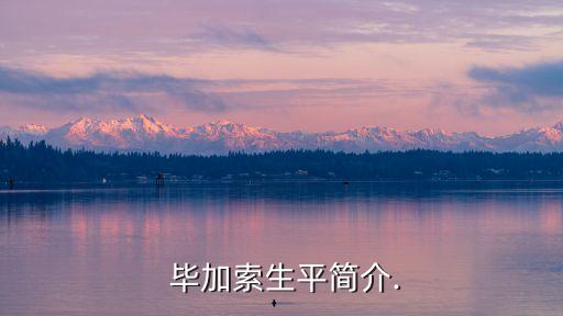  毕加索生平简介.
