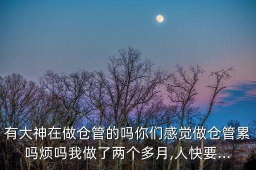 有大神在做仓管的吗你们感觉做仓管累吗烦吗我做了两个多月,人快要...