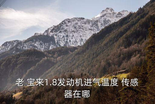 老 宝来1.8发动机进气温度 传感器在哪