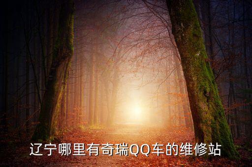 辽宁哪里有奇瑞QQ车的维修站