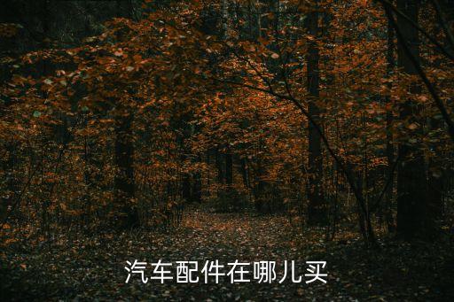 汽车配件在哪儿买