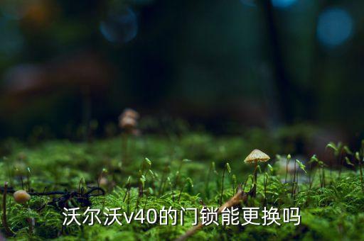沃尔沃v40的门锁能更换吗